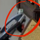 Close-up crop of photo in which bottle is visible behind phone